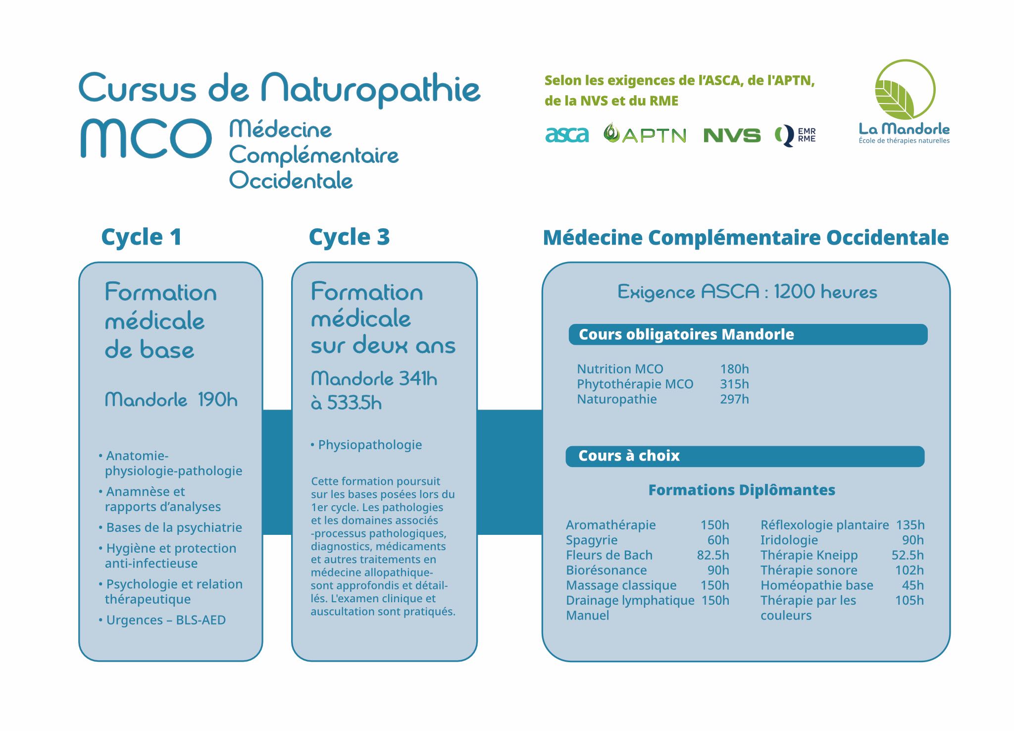 Plan de formation naturopathie MCO